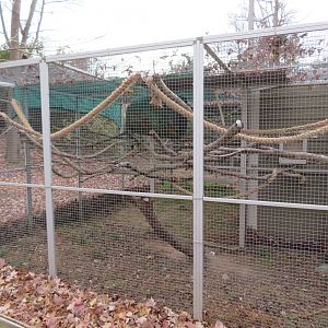 Green-winged Macaw Cage