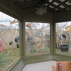 Howler Monkey Exhibit