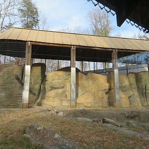 Reutilized Cage in Tiger Yard?