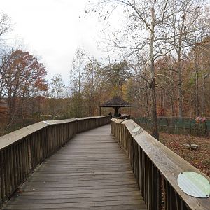 Maned Wolf/Giant Anteater Boardwalk