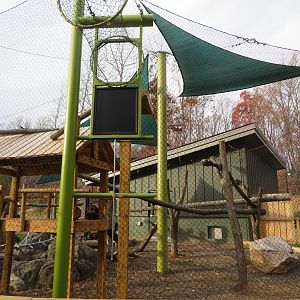 Red Panda Exhibit