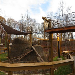 Black-footed Cat Outdoor Enclosure and Overhead Walkway