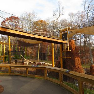 Serval Exhibit and Overhead Path