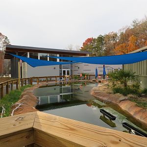 American Flamingo Exhibit