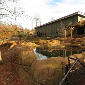 Pygmy Hippo Exhibit