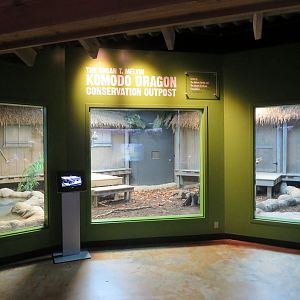 Komodo Dragon Indoor Exhibit