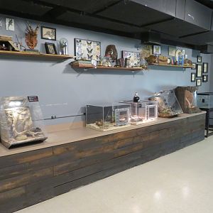 Herpetarium Lab