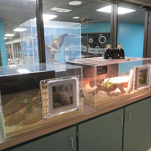 Herpetarium Lab