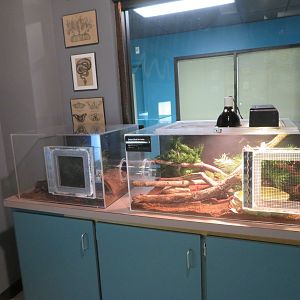 Herpetarium Lab