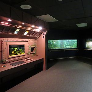 Herpetarium - Aquatic Room