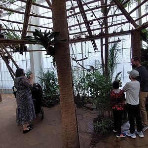 Keel-Billed Toucan enclosure- Toucan Encounter