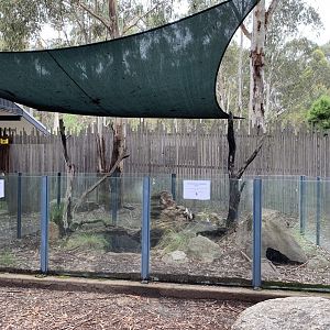 Enclosure at Tidbinbilla Reserve