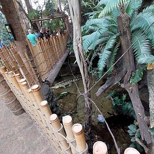 Orinoco Crocodile Cove- Right side view from bridge