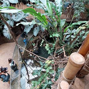 Crocodile cove- Left side view from bridge