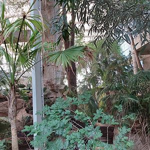 View into Mundo Maya (Scarlet Macaw and Toucan Terrace enclosures visible)
