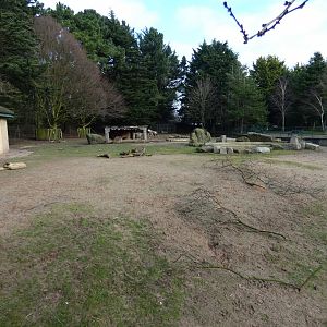 Mixed South American mammal paddock