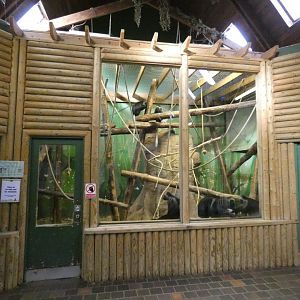 King colobus indoor enclosure