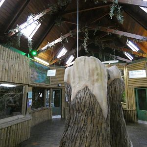 Small monkey house interior