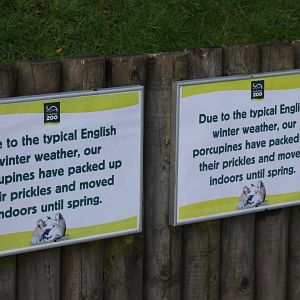 Tree porcupine winter signange