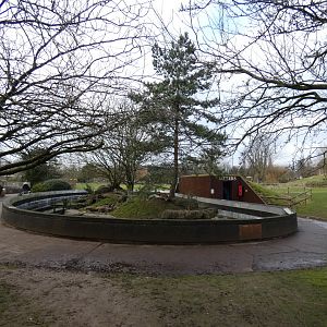 Asian short clawed otter enclosure