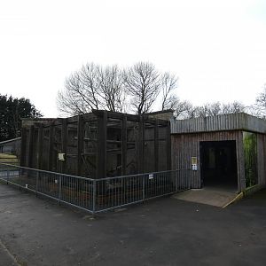 South American monkey house