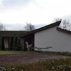 Camel house view from front
