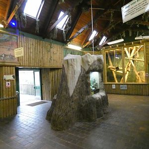 View in small monkey house