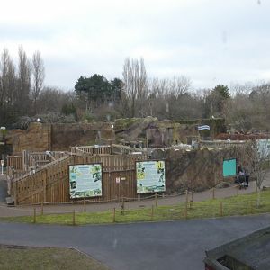View of Penguin enclosure
