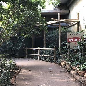 Tropics - Guam Kingfisher Aviary
