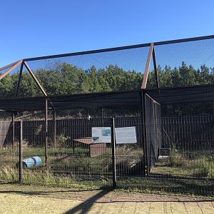 Attwater's Prairie Chicken exhibit