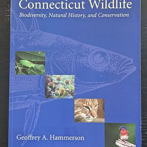 Connecticut Wildlife: Biodiversity, Natural History, and Conservation