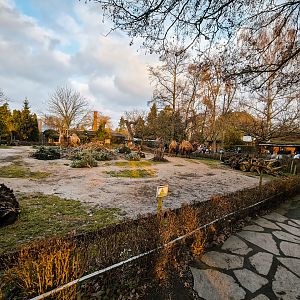 Camel and  Porcupine overview