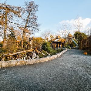 White-nosed Coati and Striped Skunk with  Squirrel Monkey house and playground in the back
