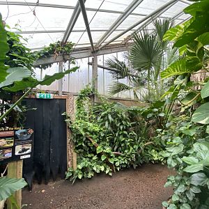 Reptile Tropics 201121