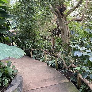 Reptile Tropics 201121