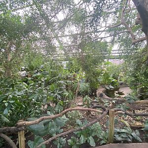 Reptile Tropics 201121