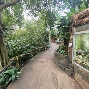 Reptile Tropics 201121