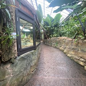 Reptile Tropics 201121