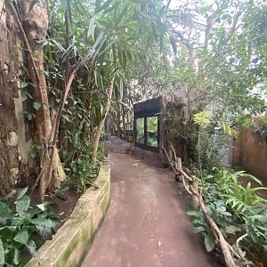 Reptile Tropics 201121