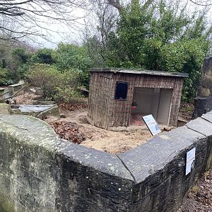 Meerkat enclosure 111221