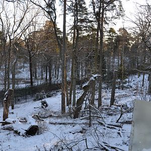 The former wolf enclosure at Skansen, Stockholm