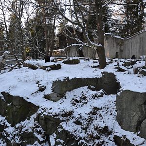 The wolverine enclosure at Skansen, Stockholm
