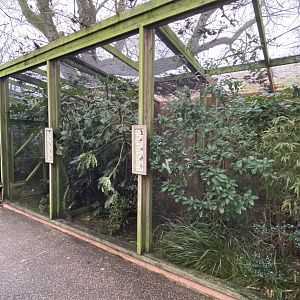 Gems of the Jungle 111221