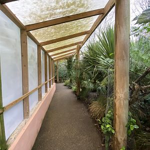 Gems of the Jungle 111221