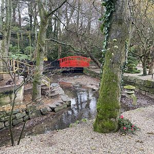 Asian small-clawed otters enclosure 111221