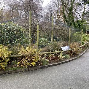 African aviary 111221