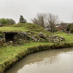 Visayan spotted deer enclosure 111221