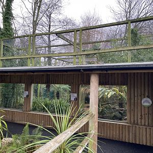 Fishing cat enclosure 111221