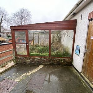 Bearded tit aviary 111221