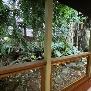 Tropical House Lower Floor 111221